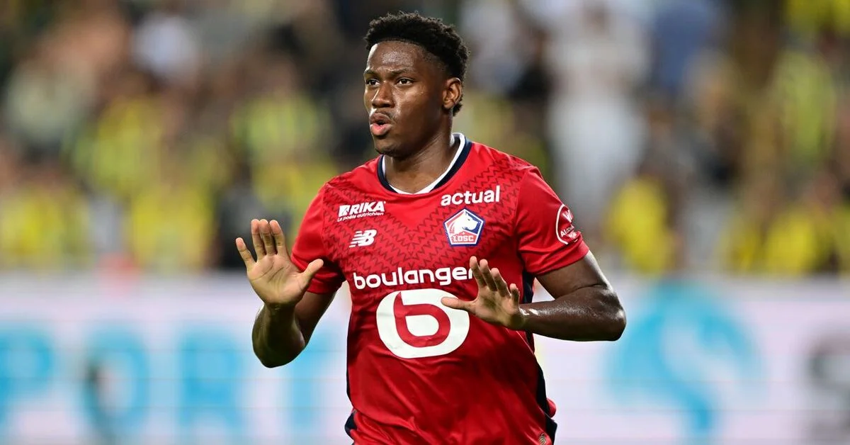 David'de dev rakip!